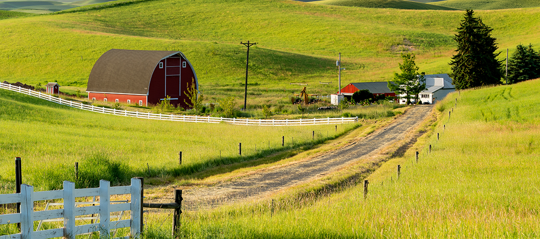 Adobestock 367391792