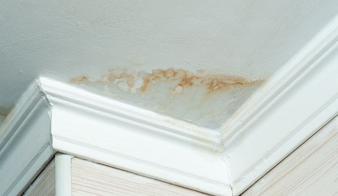 Adobestock 409230501